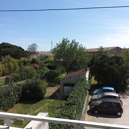 Appartement T2 Albi Bagian luar foto
