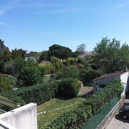 Appartement T2 Albi Bagian luar foto